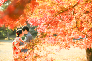 京都の秋の紅葉ロケ