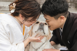 愛犬と歩く八坂エリア