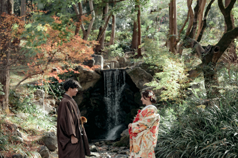 紅葉撮影を円山公園で