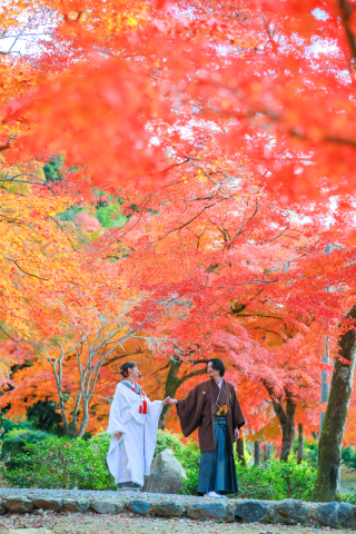 たくさんご案内できます、紅葉ロケスポット!