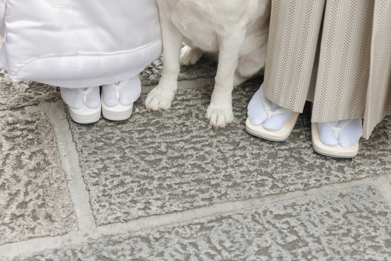 愛犬と歩く八坂エリア