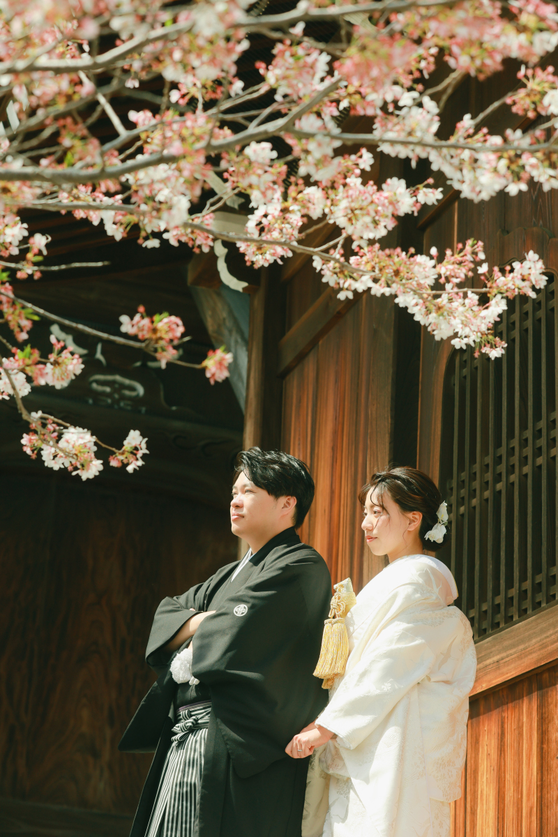 ご家族仲良く春の金戒光明寺で^^