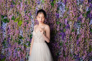 藤の花が京都に！