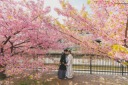 春色満喫◎桜ロケーション撮影