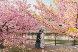 春色満喫◎桜ロケーション撮影
