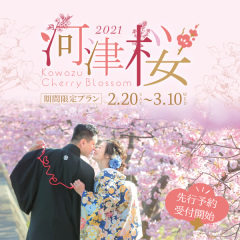 【河津桜】プランできました！