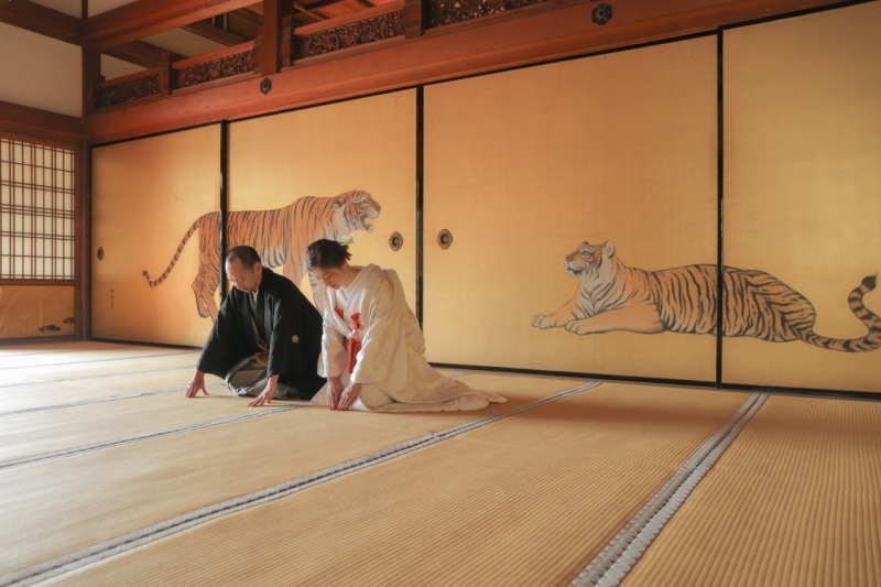 紫陽花咲く、金戒光明寺と洋装撮影♫