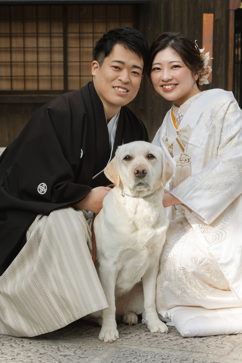 愛犬と歩く八坂エリア