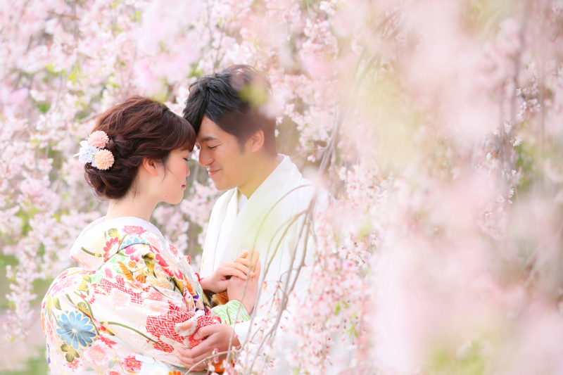 大人気!! 桜ロケーションフォト