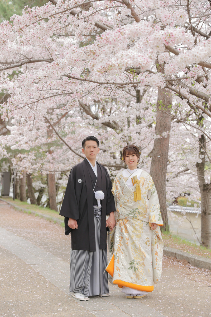 桜満開の八坂ロケーション