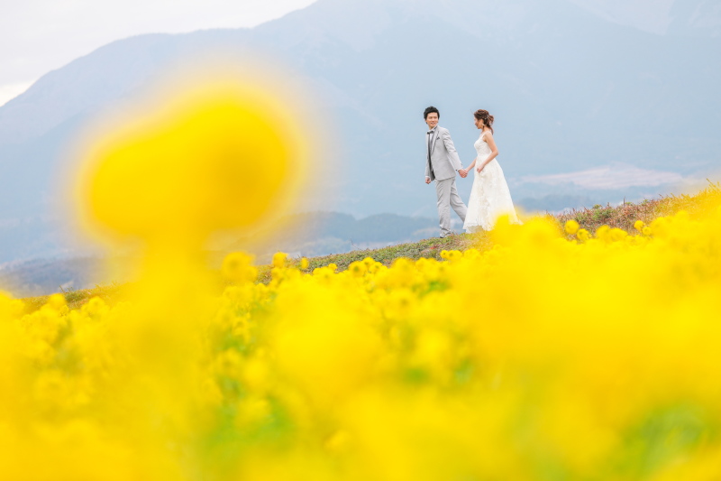 早咲きの菜の花♪