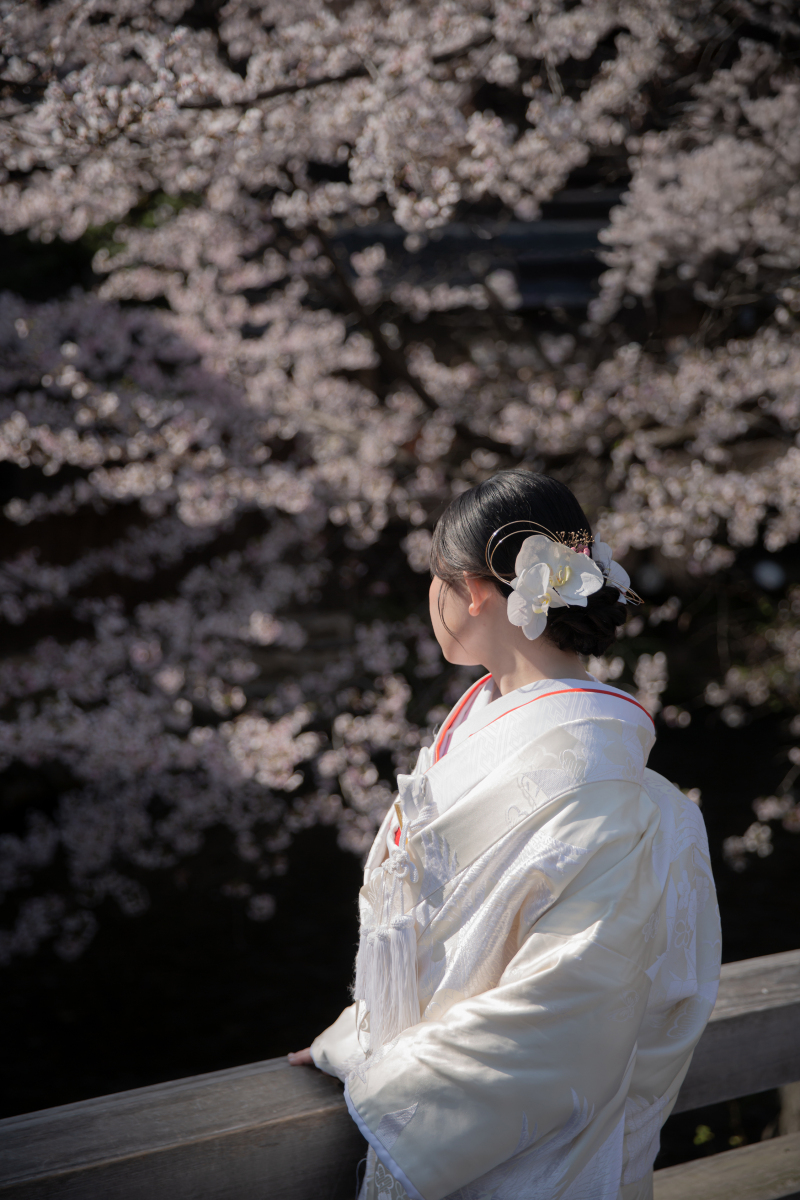 祇園で感じる春風