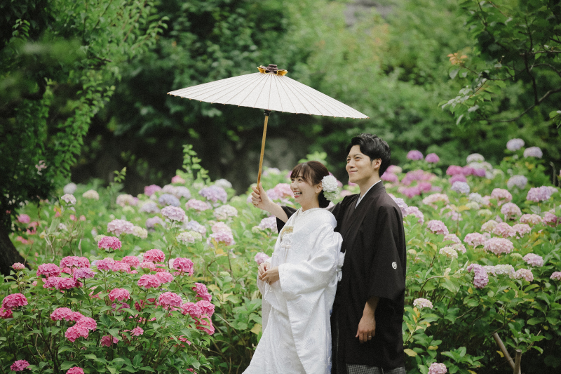 紫陽花!きれいです!