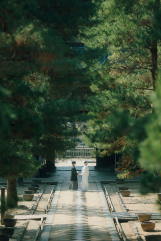新緑の季節に輝く萬福寺でのウェディングフォト