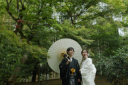 新緑に包まれる圓光寺