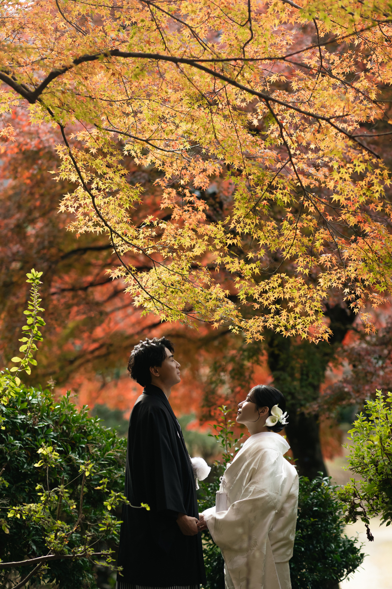 秋の京都で和装のフォトウェディング