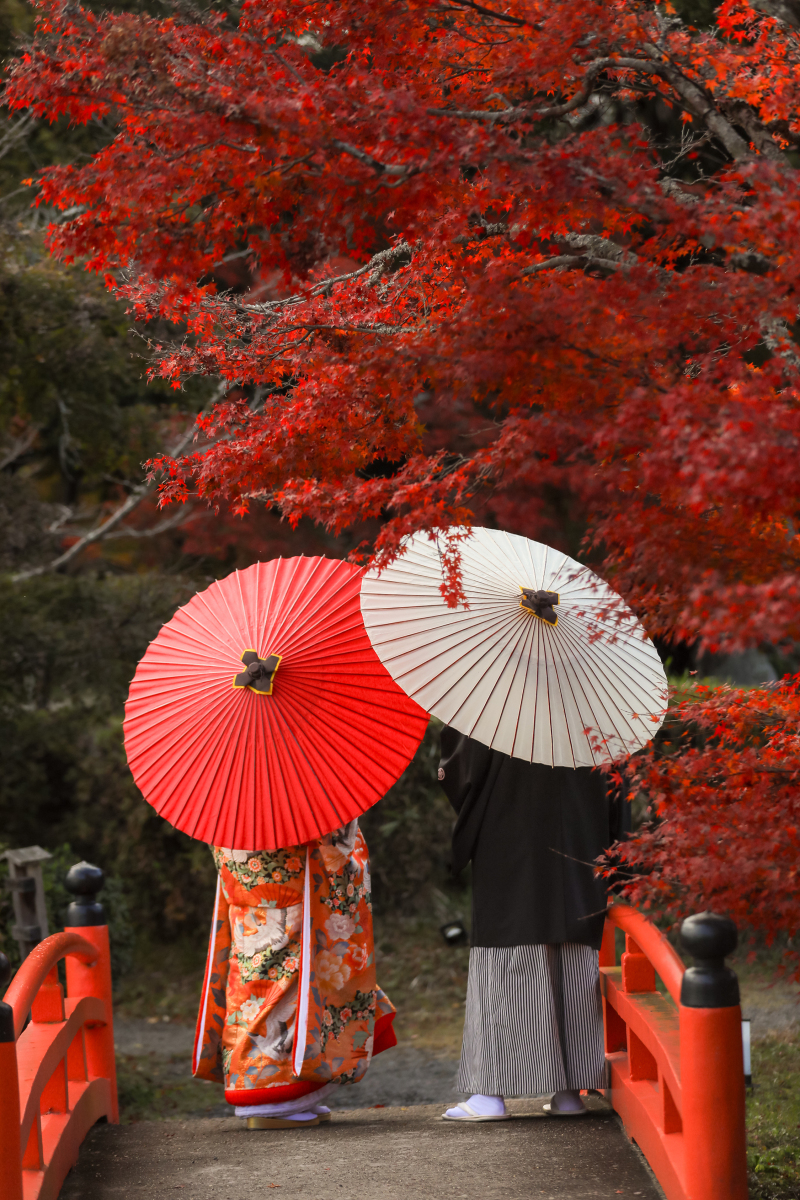 大覚寺で過ごす秋