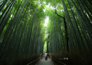 3/17ロケーションプラン、空きあります。