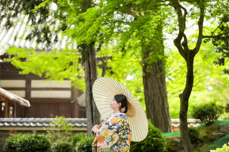 京都の新緑ロケの季節です。