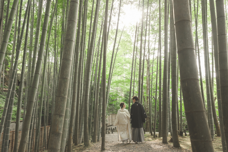 新緑が美しい6月の京都【圓光寺】で和装フォトウェディング