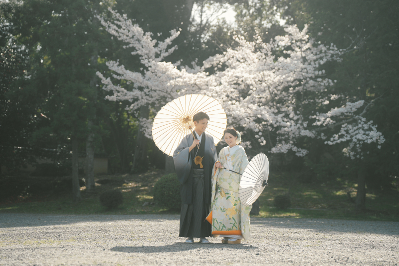 麗しい和装姿を大覚寺の桜と