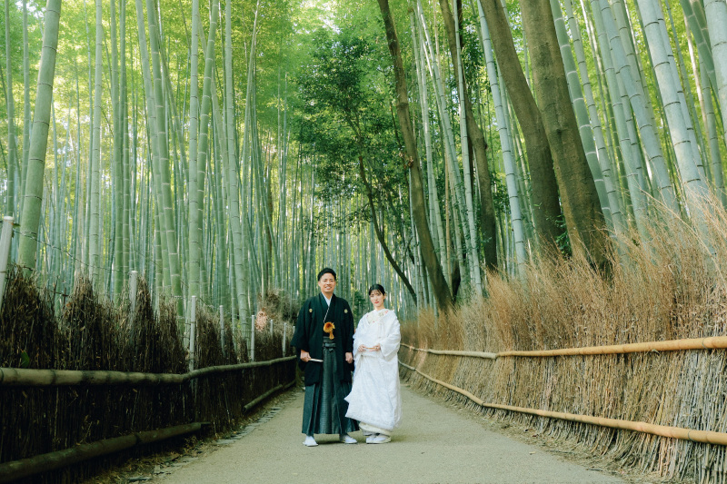 屋形船と竹林の旅