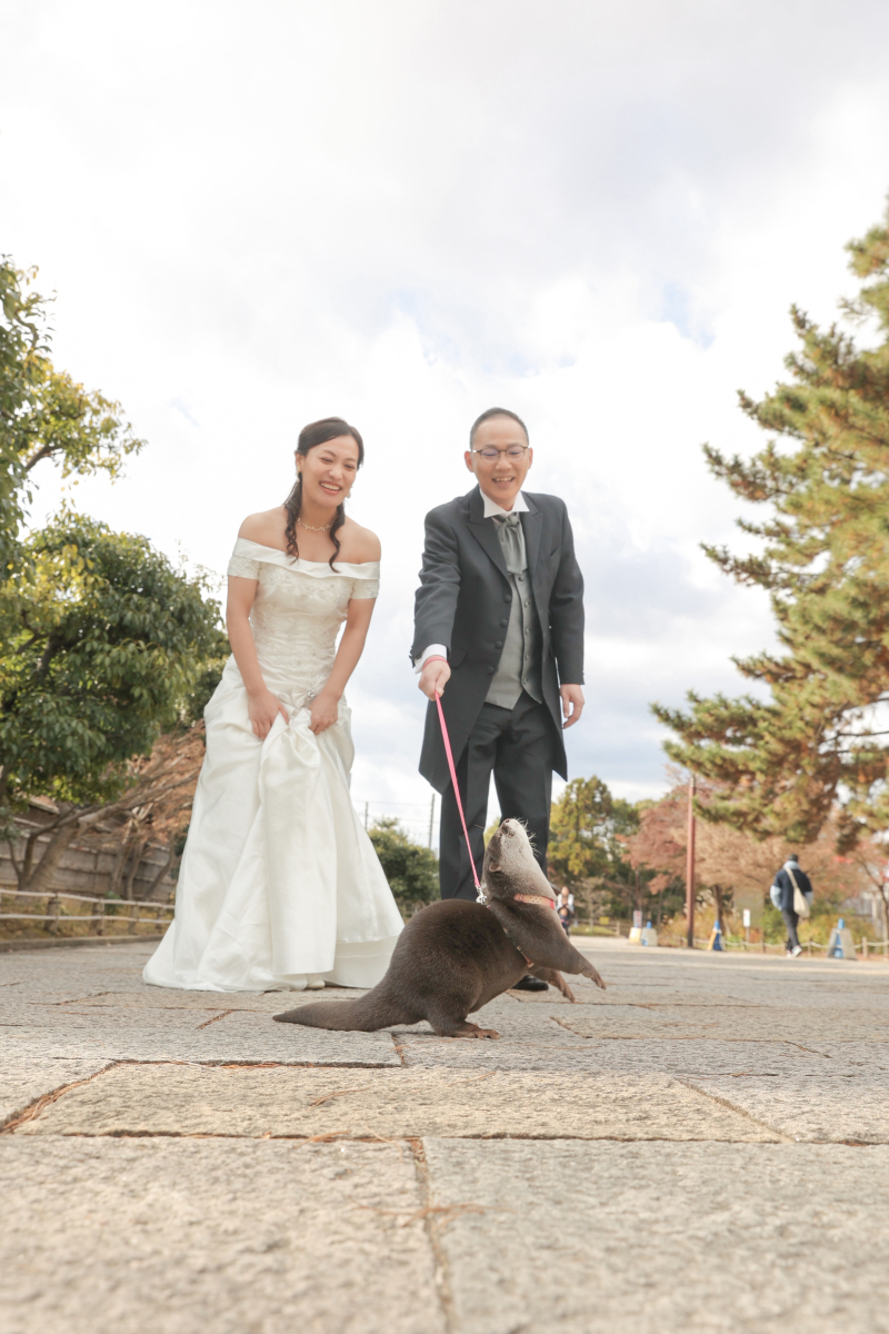 カワウソと一緒に！梅小路公園ロケーション