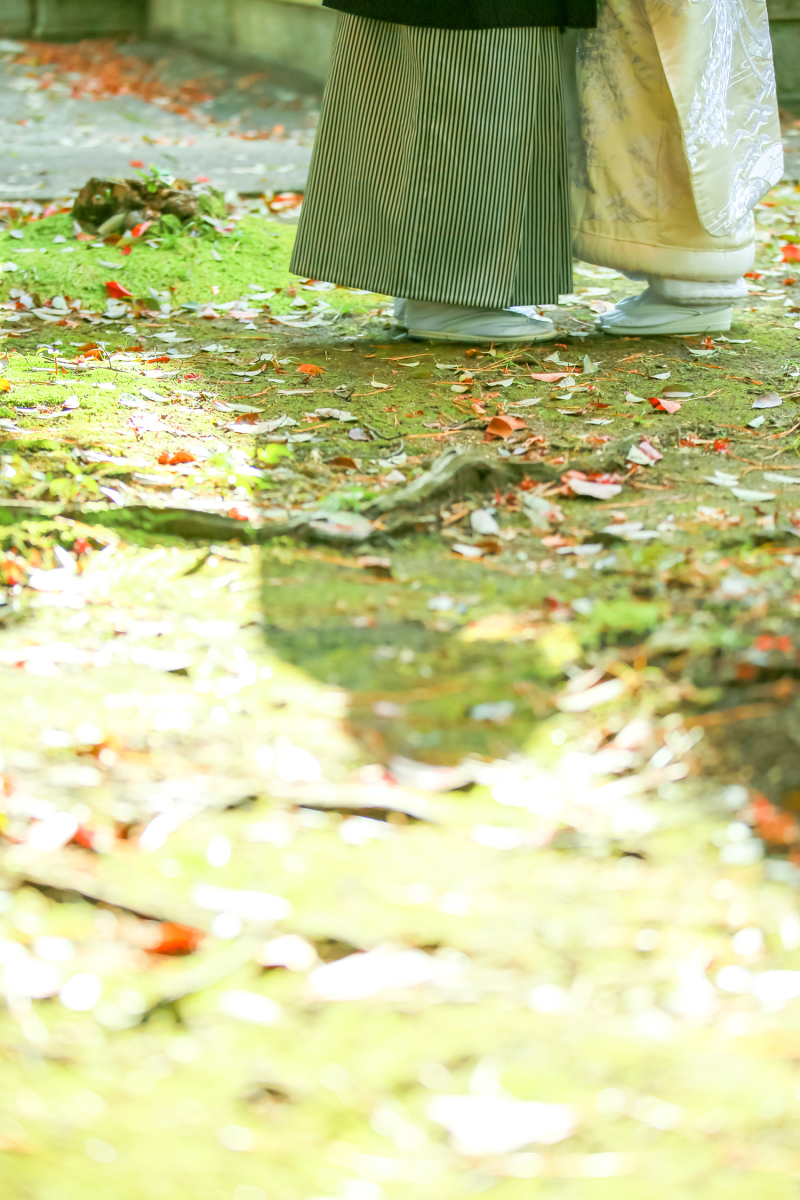 京都秋の紅葉ロケの穴場ロケスポットのご案内です！