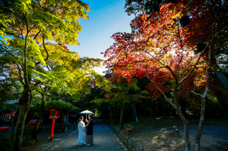 大人気!!紅葉ロケ!!残り撮影枠のご案内!!