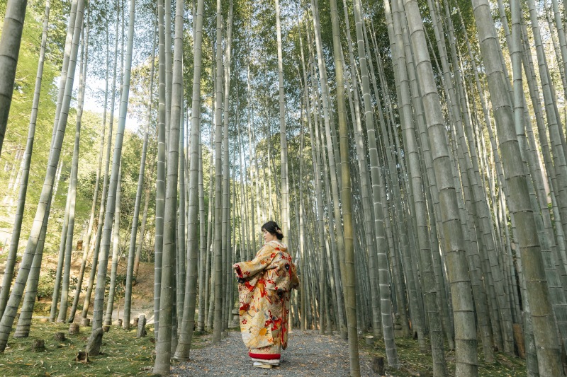 壮大なスケール感!圓光寺ロケーション撮影!