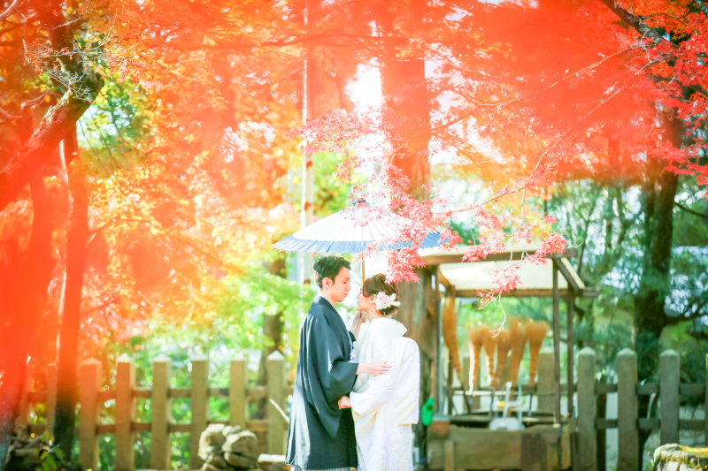 京都秋の紅葉ロケの穴場ロケスポットのご案内です！