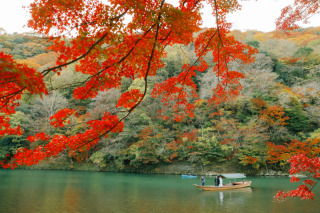 屋形船と竹林の旅