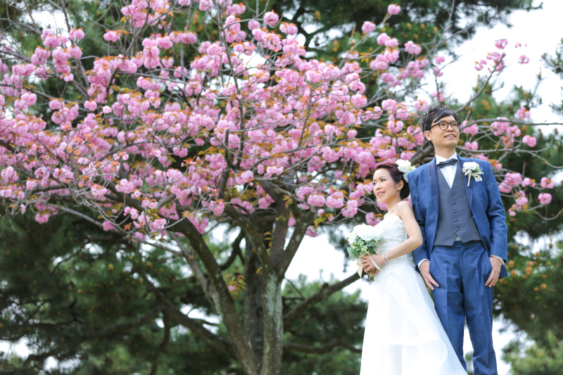 大人気!! 桜ロケーションフォト