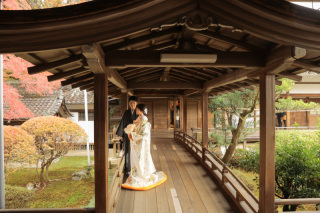 【残り枠わずか!】秋の紅葉ロケーション(毘沙門堂)