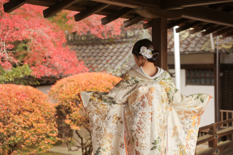 【残り枠わずか!】秋の紅葉ロケーション(毘沙門堂)