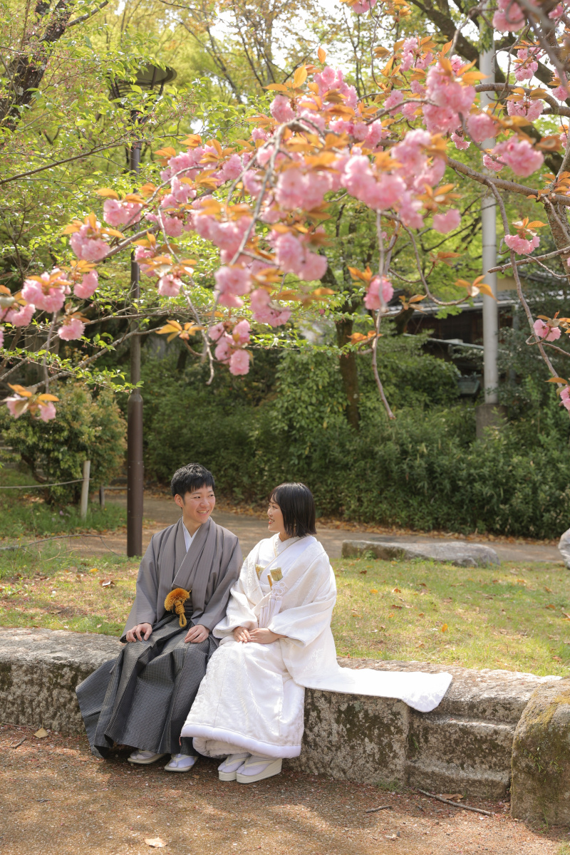 京都らしさ満喫♪【八坂+円山公園】