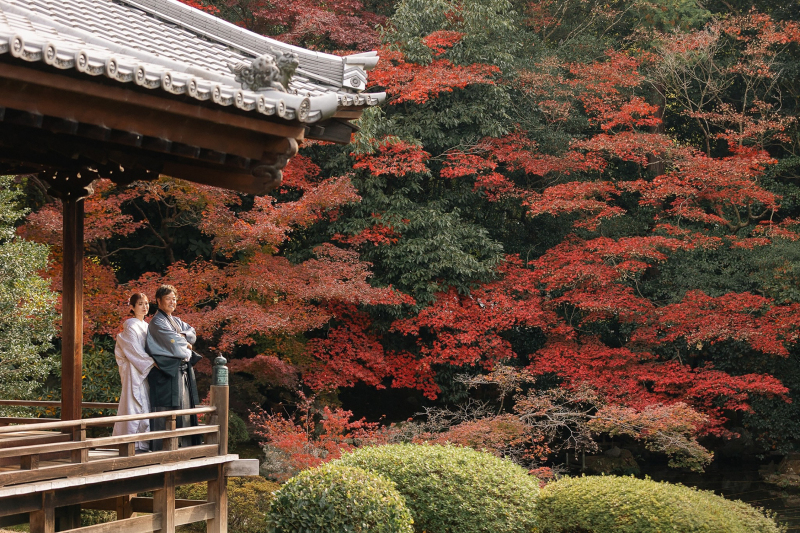 秋の美しさと和装の魅力を堪能！