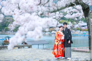 京都の春、桜でフォトウェディング