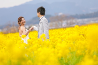 早咲きの菜の花♪