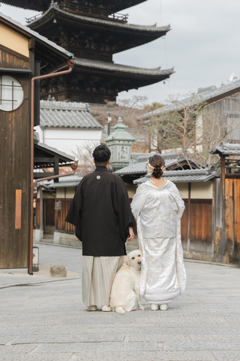 愛犬と歩く八坂エリア