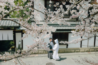予約はいってきております♪桜撮影