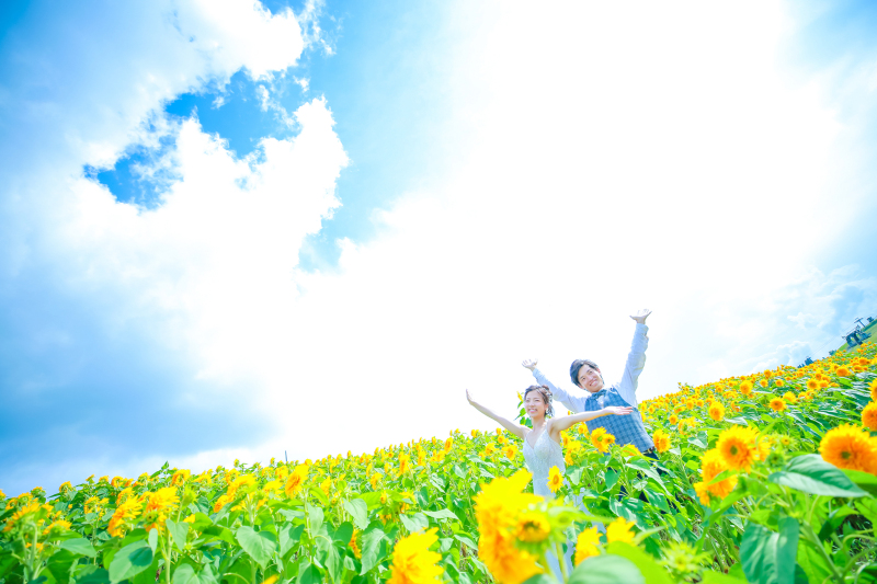 夏!と言えば…向日葵でしょう!