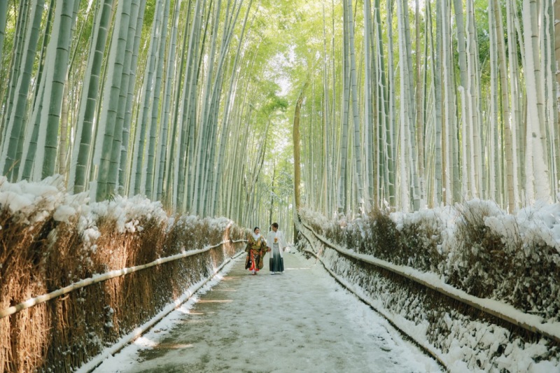 嵐山の雪景色!