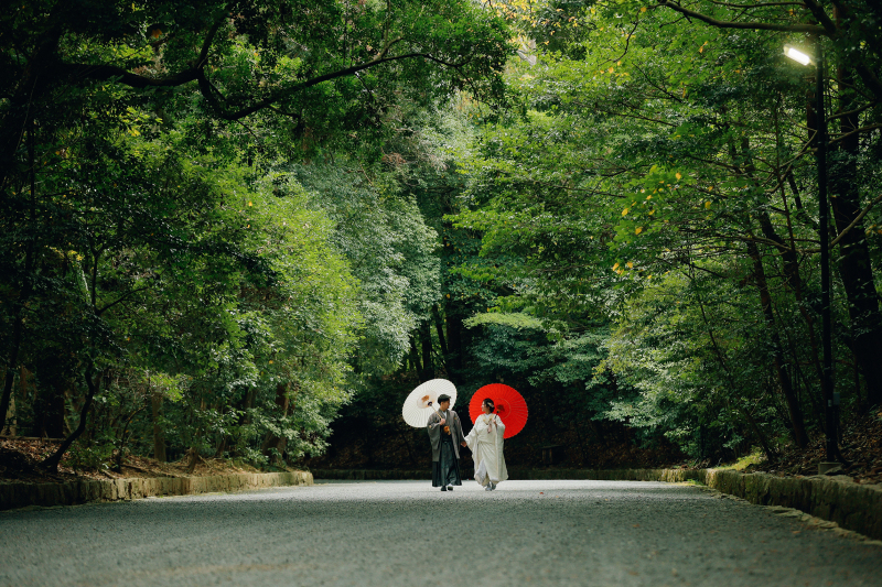 紅葉が美しい泉涌寺です。
