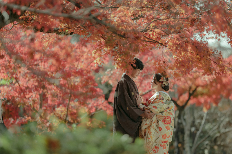 紅葉撮影を円山公園で