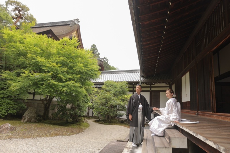 泉涌寺と新緑