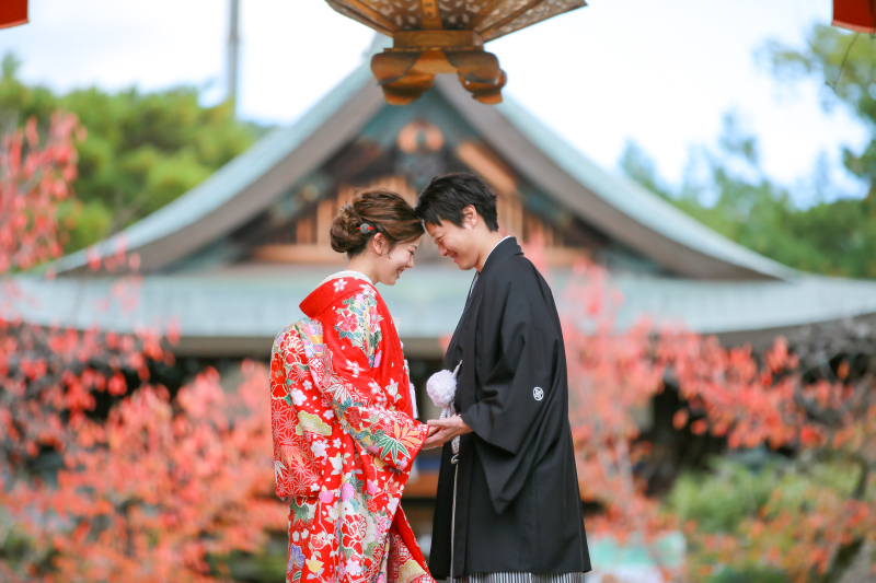 去年11月上旬の紅葉イメージです。