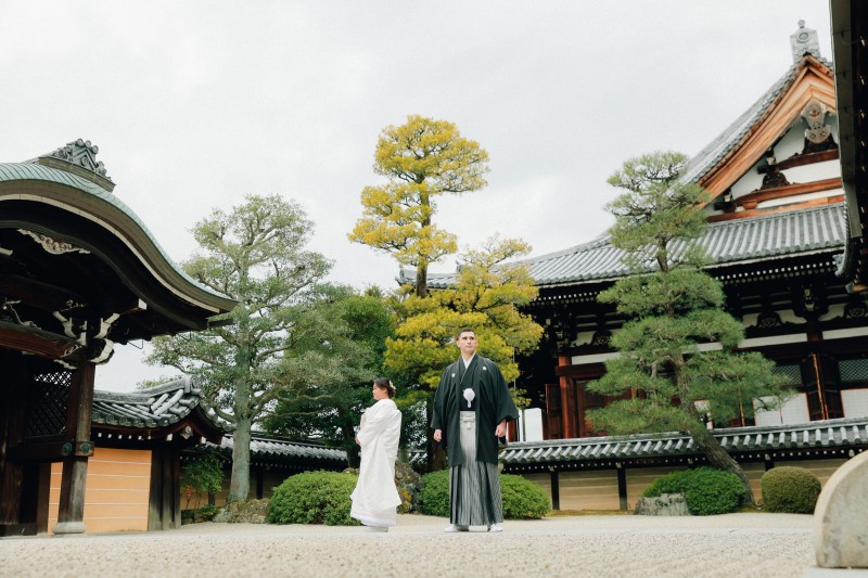 桜の金戒光明寺ロケーション