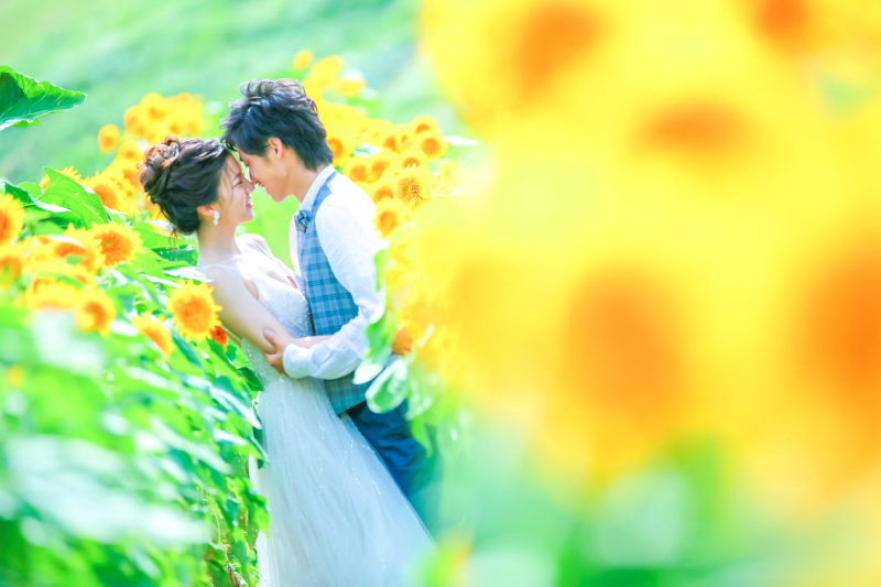 夏!と言えば…向日葵でしょう!