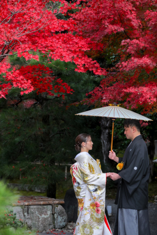 季節を先取り！紅葉の金戒光明寺へ